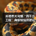 英德市大湾镇“百千万工程”典型镇培育建设工程设计施工总承包项目招标公告(图1) 英德市大湾镇“百千万工程”典型镇培育建设工程设计施工总承包项目招标公告(图1)