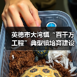 英德市大湾镇“百千万工程”典型镇培育建设工程设计施工总承包项目招标公告(图3) 英德市大湾镇“百千万工程”典型镇培育建设工程设计施工总承包项目招标公告(图3)