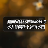 湖南省怀化市沅陵县凉水井镇等3个乡镇水田村等25个村高标准农田建设项目(二0二五年,新增建设)第四标段(第二次)招标公告(图1) 湖南省怀化市沅陵县凉水井镇等3个乡镇水田村等25个村高标准农田建设项目(二0二五年,新增建设)第四标段(第二次)招标公告(图1)