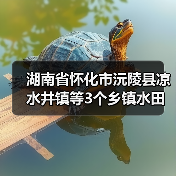 湖南省怀化市沅陵县凉水井镇等3个乡镇水田村等25个村高标准农田建设项目(二0二五年,新增建设)第四标段(第二次)招标公告(图4) 湖南省怀化市沅陵县凉水井镇等3个乡镇水田村等25个村高标准农田建设项目(二0二五年,新增建设)第四标段(第二次)招标公告(图4)