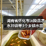 湖南省怀化市沅陵县凉水井镇等3个乡镇水田村等25个村高标准农田建设项目(二0二五年,新增建设)第四标段(第二次)招标公告(图3) 湖南省怀化市沅陵县凉水井镇等3个乡镇水田村等25个村高标准农田建设项目(二0二五年,新增建设)第四标段(第二次)招标公告(图3)