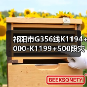 祁阳市G356线K1194+000-K1199+500段灾毁恢复重建工程招标公告(图3) 祁阳市G356线K1194+000-K1199+500段灾毁恢复重建工程招标公告(图3)