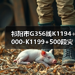 祁阳市G356线K1194+000-K1199+500段灾毁恢复重建工程招标公告(图4) 祁阳市G356线K1194+000-K1199+500段灾毁恢复重建工程招标公告(图4)