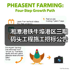 湘潭港铁牛埠港区三期码头工程施工招标公告