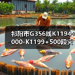 祁阳市G356线K1194+000-K1199+500段灾毁恢复重建工程招标公告(图1) 祁阳市G356线K1194+000-K1199+500段灾毁恢复重建工程招标公告(图1)
