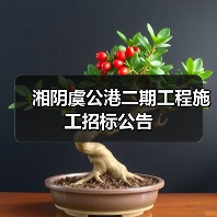 湘阴虞公港二期工程施工招标公告(图4) 湘阴虞公港二期工程施工招标公告(图4)