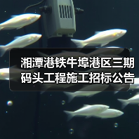 湘潭港铁牛埠港区三期码头工程施工招标公告（图4）
