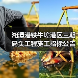 湘潭港铁牛埠港区三期码头工程施工招标公告（图3）