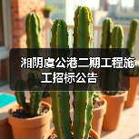 湘阴虞公港二期工程施工招标公告(图3) 湘阴虞公港二期工程施工招标公告(图3)