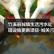 竹溪县城镇生活污水处理设施更新项目-城关污水处理厂提标升级改扩建工程竹溪县城镇生活污水处理设施更新项目-城关污水处理厂提标升级改扩建工程(HBZH-202501QG-002002001)招标公告(图4) 竹溪县城镇生活污水处理设施更新项目-城关污水处理厂提标升级改扩建工程竹溪县城镇生活污水处理设施更新项目-城关污水处理厂提标升级改扩建工程(HBZH-202501QG-002002001)招标公告(图4)