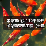 孝感东山头110千伏开关站输变电工程（土建部分）EPC(HBXN-202511FJ-050001001)招标公告