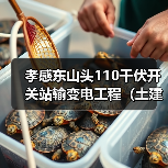 孝感东山头110千伏开关站输变电工程（土建部分）EPC(HBXN-202511FJ-050001001)招标公告（图2）