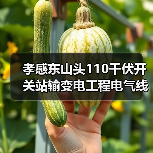 孝感东山头110千伏开关站输变电工程电气线路设备采购(HBXN-202511QG-028001001)招标公告(图4) 孝感东山头110千伏开关站输变电工程电气线路设备采购(HBXN-202511QG-028001001)招标公告(图4)