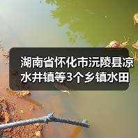 湖南省怀化市沅陵县凉水井镇等3个乡镇水田村等25个村高标准农田建设项目(二0二五年,新增建设)第四标段(第二次)招标公告(图2) 湖南省怀化市沅陵县凉水井镇等3个乡镇水田村等25个村高标准农田建设项目(二0二五年,新增建设)第四标段(第二次)招标公告(图2)