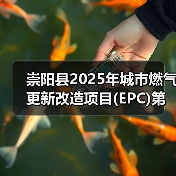 崇阳县2025年城市燃气更新改造项目(EPC)第三次(图2) 崇阳县2025年城市燃气更新改造项目(EPC)第三次(图2)