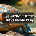 崇阳县2025年城市燃气更新改造项目(EPC)第三次(图1) 崇阳县2025年城市燃气更新改造项目(EPC)第三次(图1)
