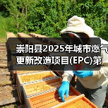 崇阳县2025年城市燃气更新改造项目(EPC)第三次(图3) 崇阳县2025年城市燃气更新改造项目(EPC)第三次(图3)