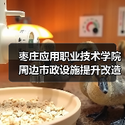 枣庄应用职业技术学院周边市政设施提升改造项目一标段招标公告(图1) 枣庄应用职业技术学院周边市政设施提升改造项目一标段招标公告(图1)
