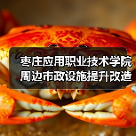 枣庄应用职业技术学院周边市政设施提升改造项目一标段招标公告(图2) 枣庄应用职业技术学院周边市政设施提升改造项目一标段招标公告(图2)