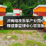 济南精准医学产业园心理健康管理中心项目施工招标公告(图2) 济南精准医学产业园心理健康管理中心项目施工招标公告(图2)