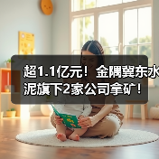 超1.1亿元!金隅冀东水泥旗下2家公司拿矿!(图3) 超1.1亿元!金隅冀东水泥旗下2家公司拿矿!(图3)