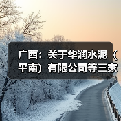 广西：关于华润水泥（平南）有限公司等三家企业水泥熟料生产线补充产能置换方案的公告