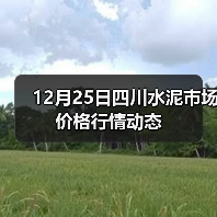 12月25日四川水泥市场价格行情动态(图1) 12月25日四川水泥市场价格行情动态(图1)