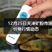 12月25日天津矿粉市场价格行情动态（图4）