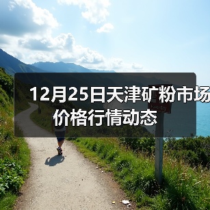 12月25日天津矿粉市场价格行情动态