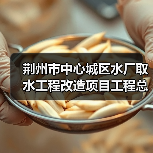 荆州市中心城区水厂取水工程改造项目工程总承包(JZSJ-202511SZ-062001001)招标公告(图2) 荆州市中心城区水厂取水工程改造项目工程总承包(JZSJ-202511SZ-062001001)招标公告(图2)