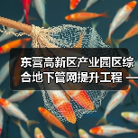 东营高新区产业园区综合地下管网提升工程 —乐山路雨污水管线工程施工招标公告(图4) 东营高新区产业园区综合地下管网提升工程 —乐山路雨污水管线工程施工招标公告(图4)