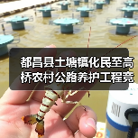 都昌县土塘镇化民至高桥农村公路养护工程竞争性磋商公告(图2) 都昌县土塘镇化民至高桥农村公路养护工程竞争性磋商公告(图2)