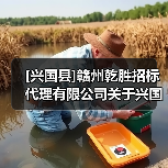 [兴国县]赣州乾胜招标代理有限公司关于兴国县2025年度第一批大中型水库移民后期扶持资金项目（方太乡、崇贤乡、埠头乡、高兴镇）（项目编号：GZQS2025-XG-C1005-1）竞争性磋商公告（图2）