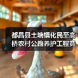 都昌县土塘镇化民至高桥农村公路养护工程竞争性磋商公告(图4) 都昌县土塘镇化民至高桥农村公路养护工程竞争性磋商公告(图4)