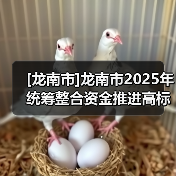 [龙南市]龙南市2025年统筹整合资金推进高标准农田建设项目六标段（南亨乡）龙南市2025年统筹整合资金推进高标准农田建设项目六标段 （南亨乡）（图3）