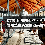 [龙南市]龙南市2025年统筹整合资金推进高标准农田建设项目六标段（南亨乡）龙南市2025年统筹整合资金推进高标准农田建设项目六标段 （南亨乡）（图2）