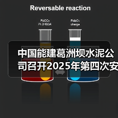 中国能建葛洲坝水泥公司召开2025年第四次安全生产委员会会议（图2）