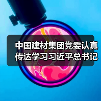 中国建材集团党委认真传达学习习近平总书记对中央企业工作的重要指示（图3）