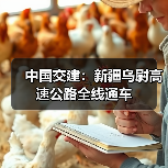 中国交建：新疆乌尉高速公路全线通车