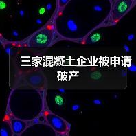 三家混凝土企业被申请破产（图3）