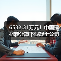 6532.31万元！中国建材转让旗下混凝土公司100%股权（图3）