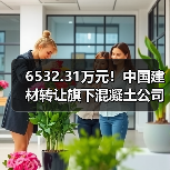 6532.31万元！中国建材转让旗下混凝土公司100%股权（图2）