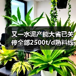 又一水泥产能大省已关停全部2500t/d熟料线！接下来是哪个省？（图4）