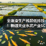 全废渣生产线超低排放！新疆天业水泥产业SCR脱硝落地（图2）