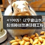 4100万!辽宁富山水泥超低排放改造项目工程总承包招标(图2) 4100万!辽宁富山水泥超低排放改造项目工程总承包招标(图2)