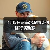 1月5日河南水泥市场价格行情动态（图4）