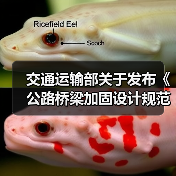 交通运输部关于发布《公路桥梁加固设计规范》和《公路桥梁加固施工技术规范》的公告（图4）