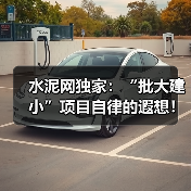 水泥网独家：“批大建小”项目自律的遐想！