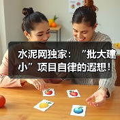 水泥网独家：“批大建小”项目自律的遐想！（图3）