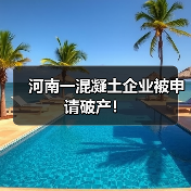 河南一混凝土企业被申请破产!(图4) 河南一混凝土企业被申请破产!(图4)